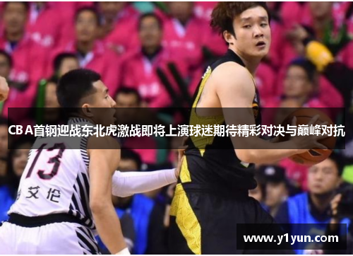 CBA首钢迎战东北虎激战即将上演球迷期待精彩对决与巅峰对抗